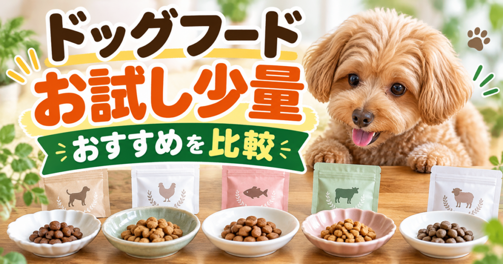 ドッグフードのお試し少量パック5種類と食べ比べ用の小皿を並べ、トイプードルとともにおすすめ商品を比較するアイキャッチ画像