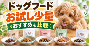 ドッグフードのお試し少量パック5種類と食べ比べ用の小皿を並べ、トイプードルとともにおすすめ商品を比較するアイキャッチ画像